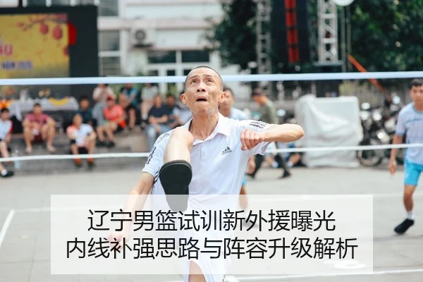辽宁男篮试训新外援曝光 内线补强思路与阵容升级解析